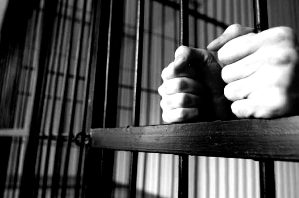 Фото взято  из бесплатных источников в интернете