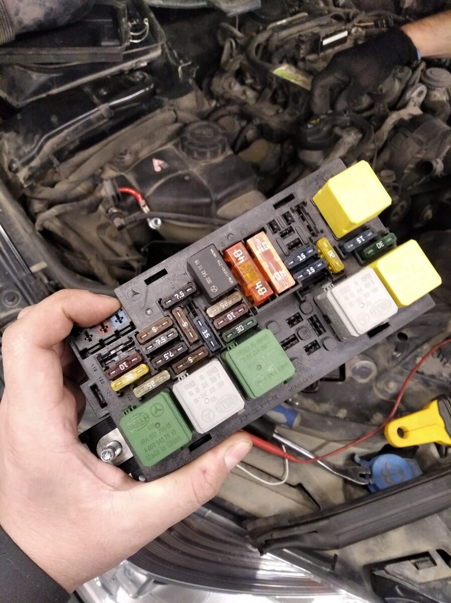 Фото из личного архива