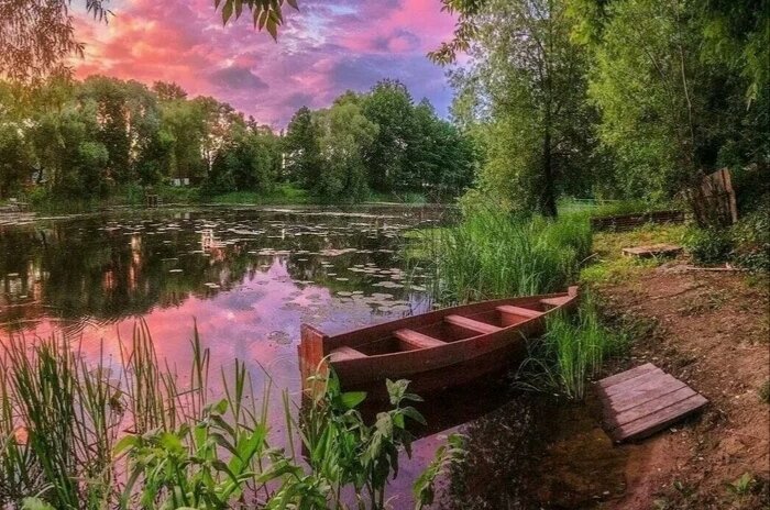 Из открытого доступа