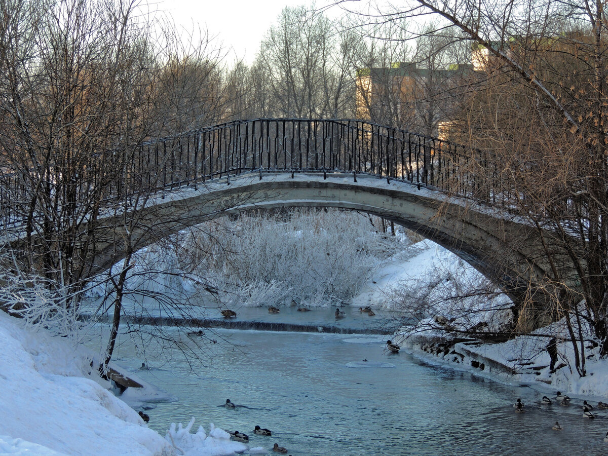 парк в пойме реки городни