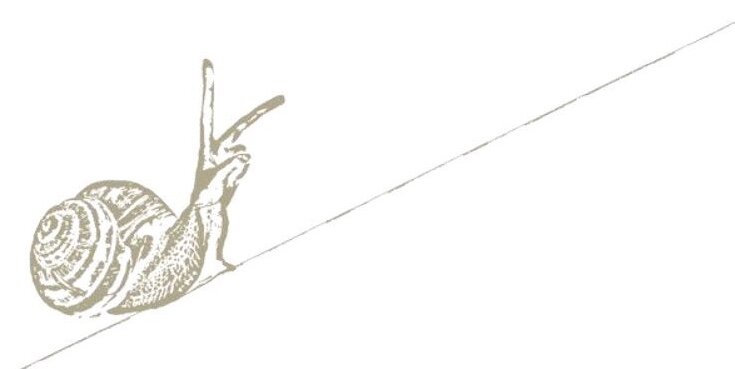 Тихо, тихо ползи, Улитка, по склону Фудзи вверх, до самых высот! (с) Кобаяси Исса (Пер.В. Марковой)