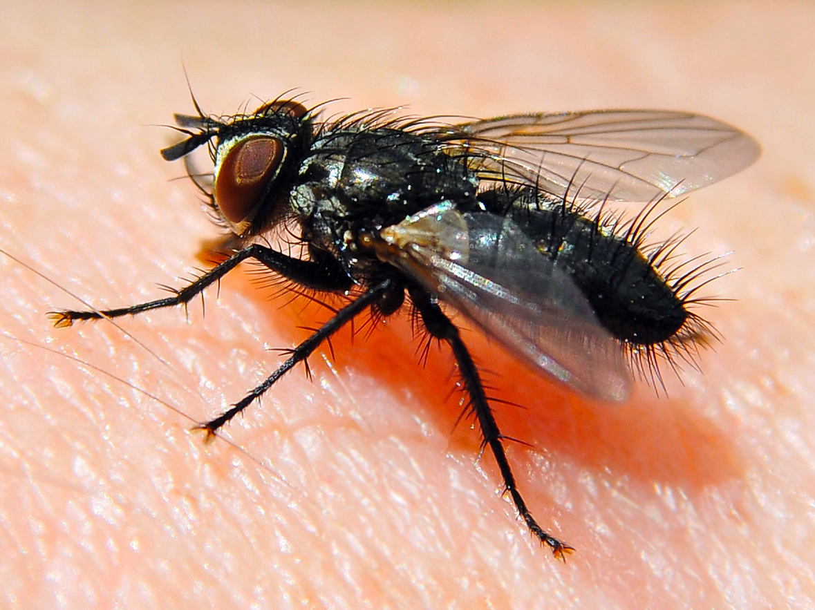 Способ, который реально поможет.