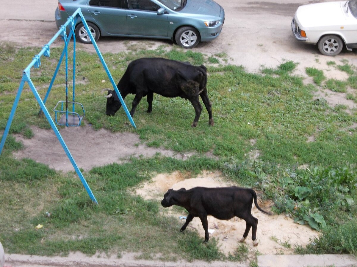 Фото из личного архива