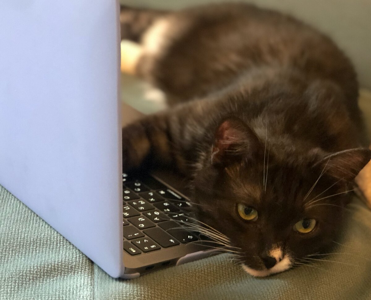 Малый бизнес