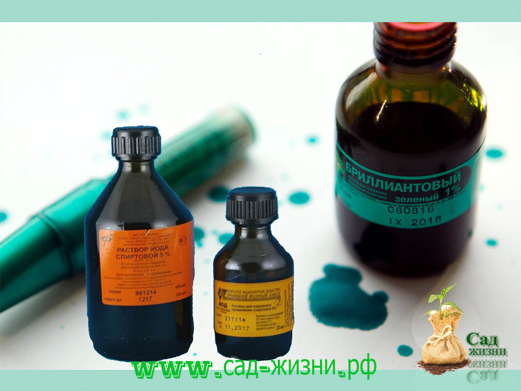 йодом и зеленкой вы убиваете в почве полезные микроорганизмы!
