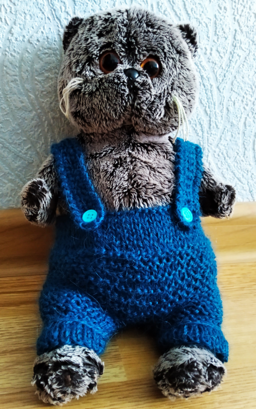 Одежда для кота басика. Беби басик 2022-2021. Вязаная одежда для басика. Вязаная одежда для басика. Вязаные шапки на кота басика.