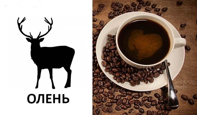 Рисунок олень на кофейной гуще