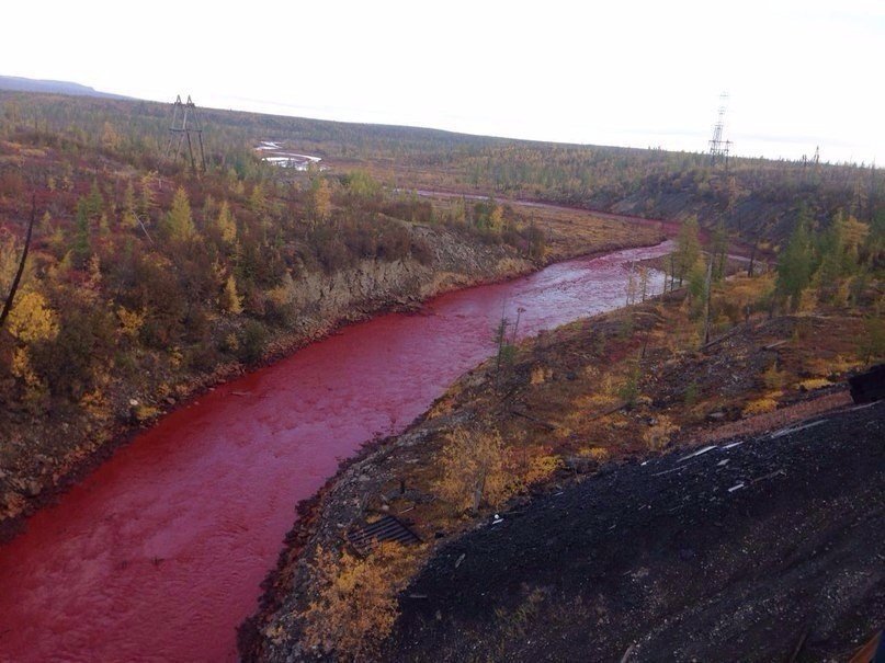 Фото из свободного доступа в Интернете. Экологическая катастрофа в Норильске.