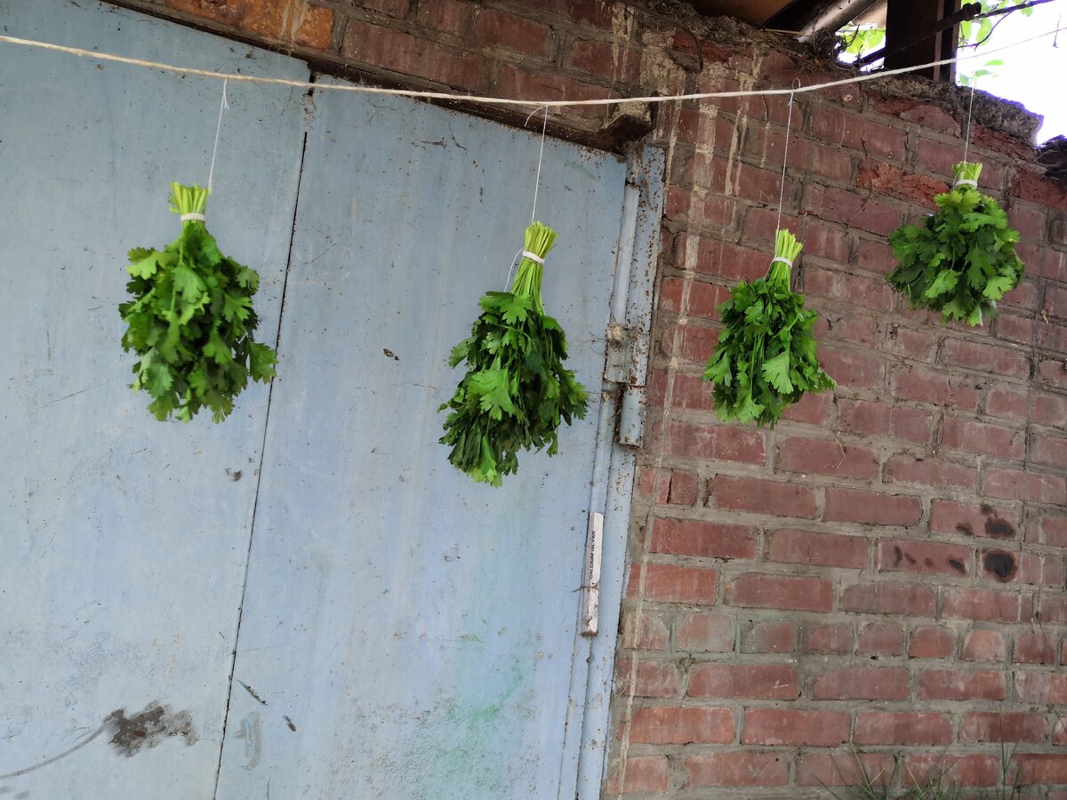 такие вот пучки у меня получились))---->