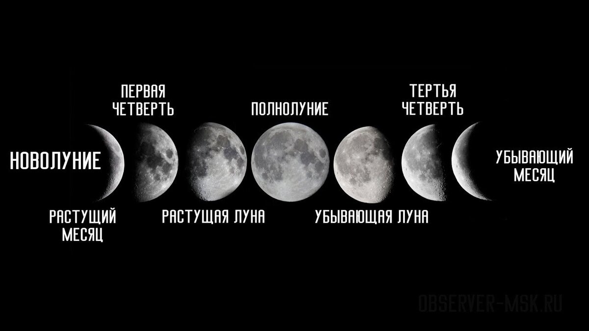 Лунный посевной календарь