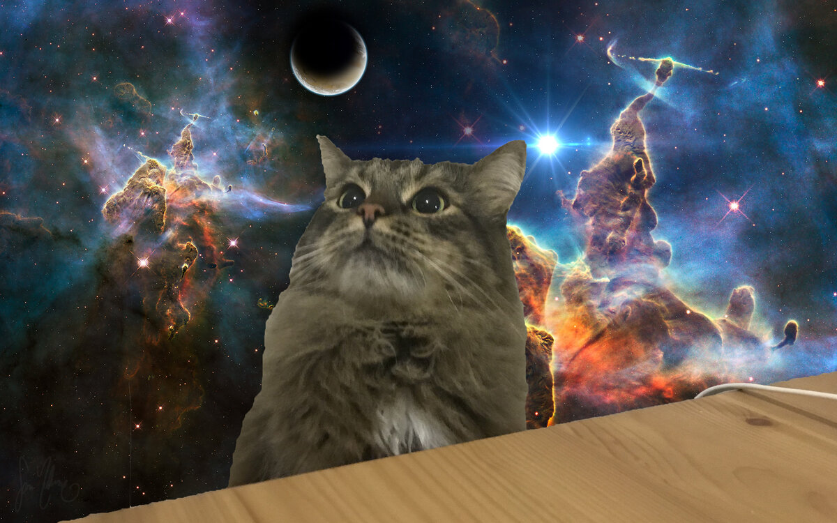 Повелитель вселенных, или просто кот Ричард