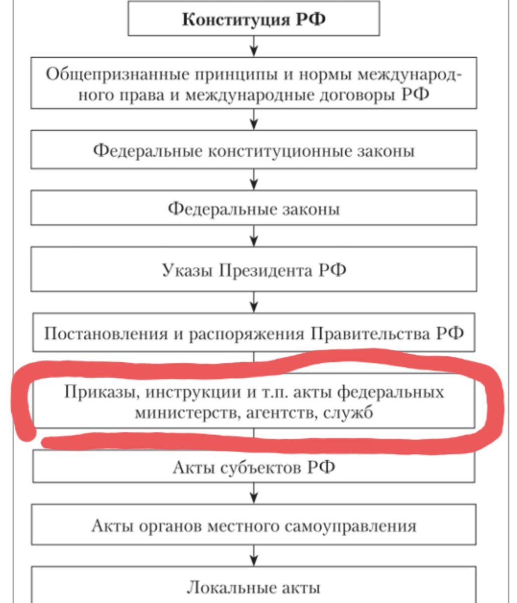 Федеральные законы: федеральные конституционные нормы и их особенности