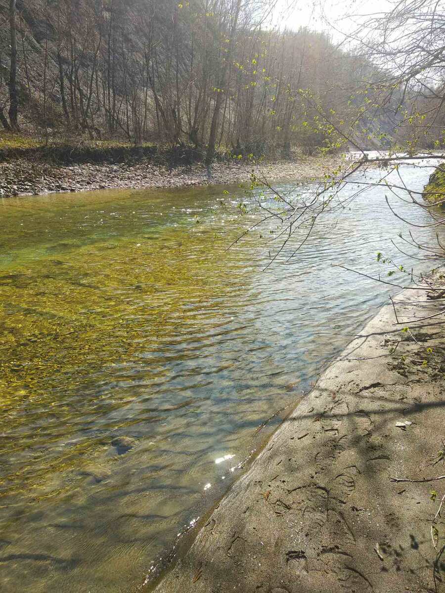 Речка, возле которой мы устроились на пикник. Личное фото.