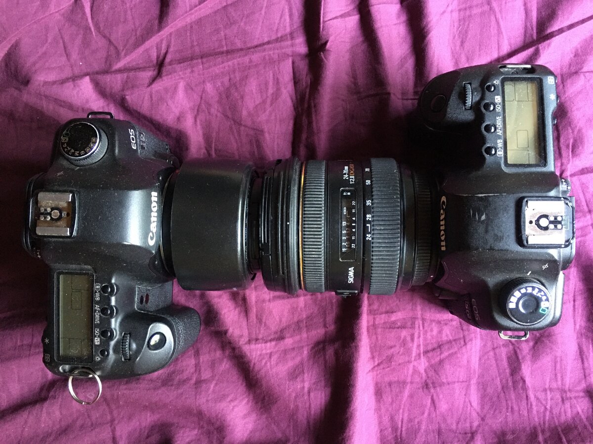 Моя прелесть).