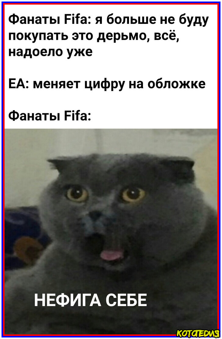 Картинка и мемы про кошек