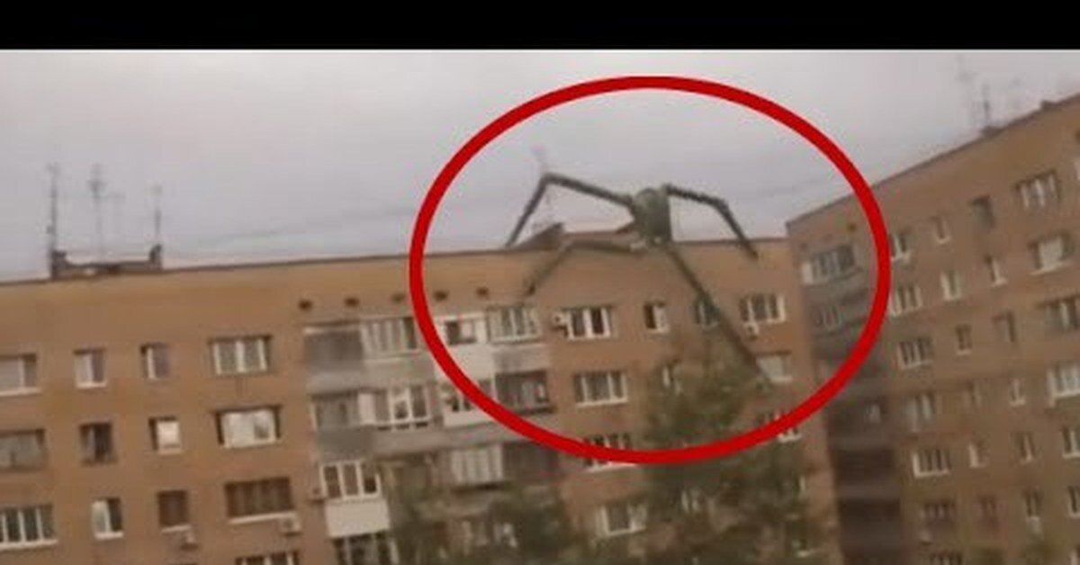 взято с интернета