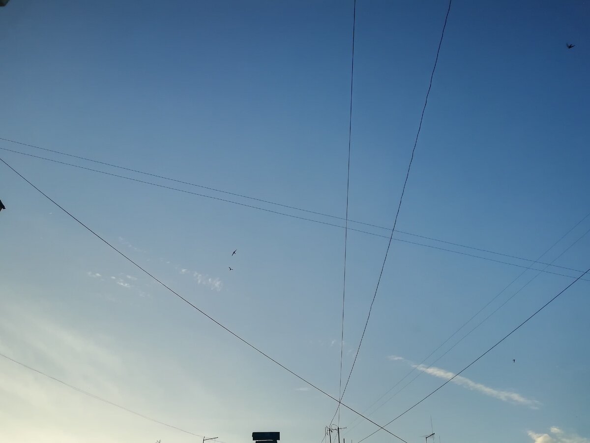 Когда ты любишь и совершаешь что-то с любовью, ты намного ближе к небу, чем думаешь. (Эльчин Сафарли)