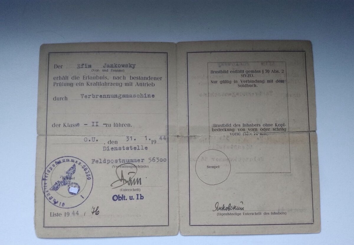 Фото автора.