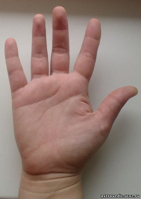 Нижние фаланги пальцев расширяются вниз, пухловатые - рука сибарита.