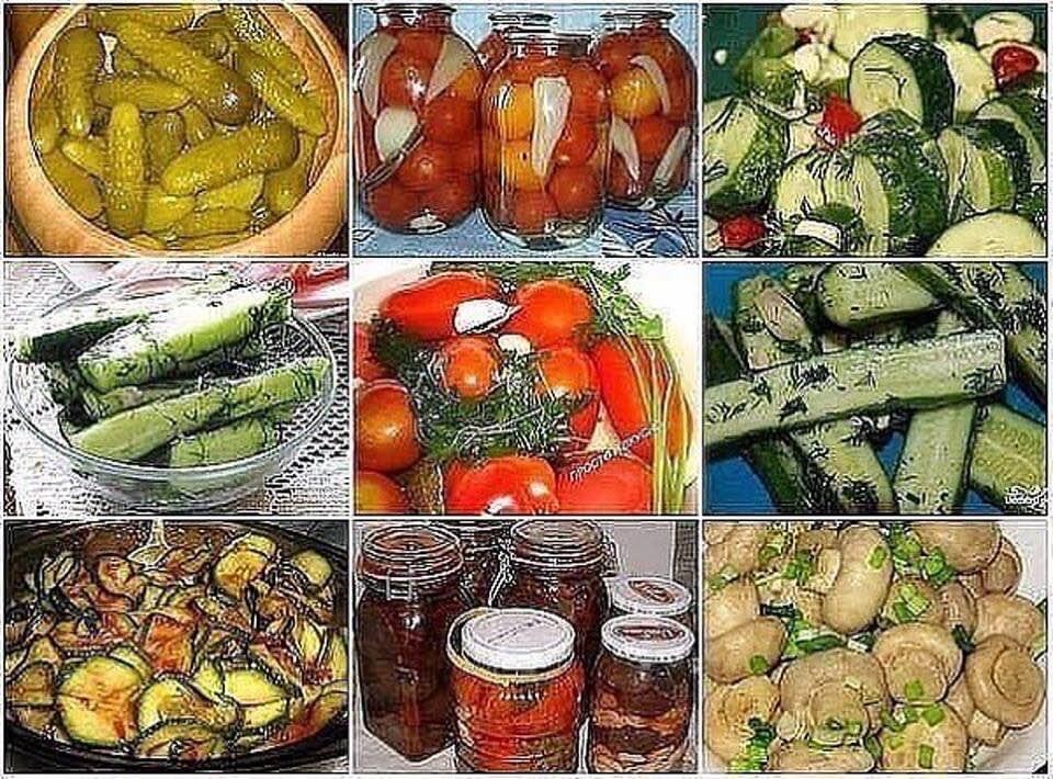 Лучшие рецепты засолок вам в копилоску