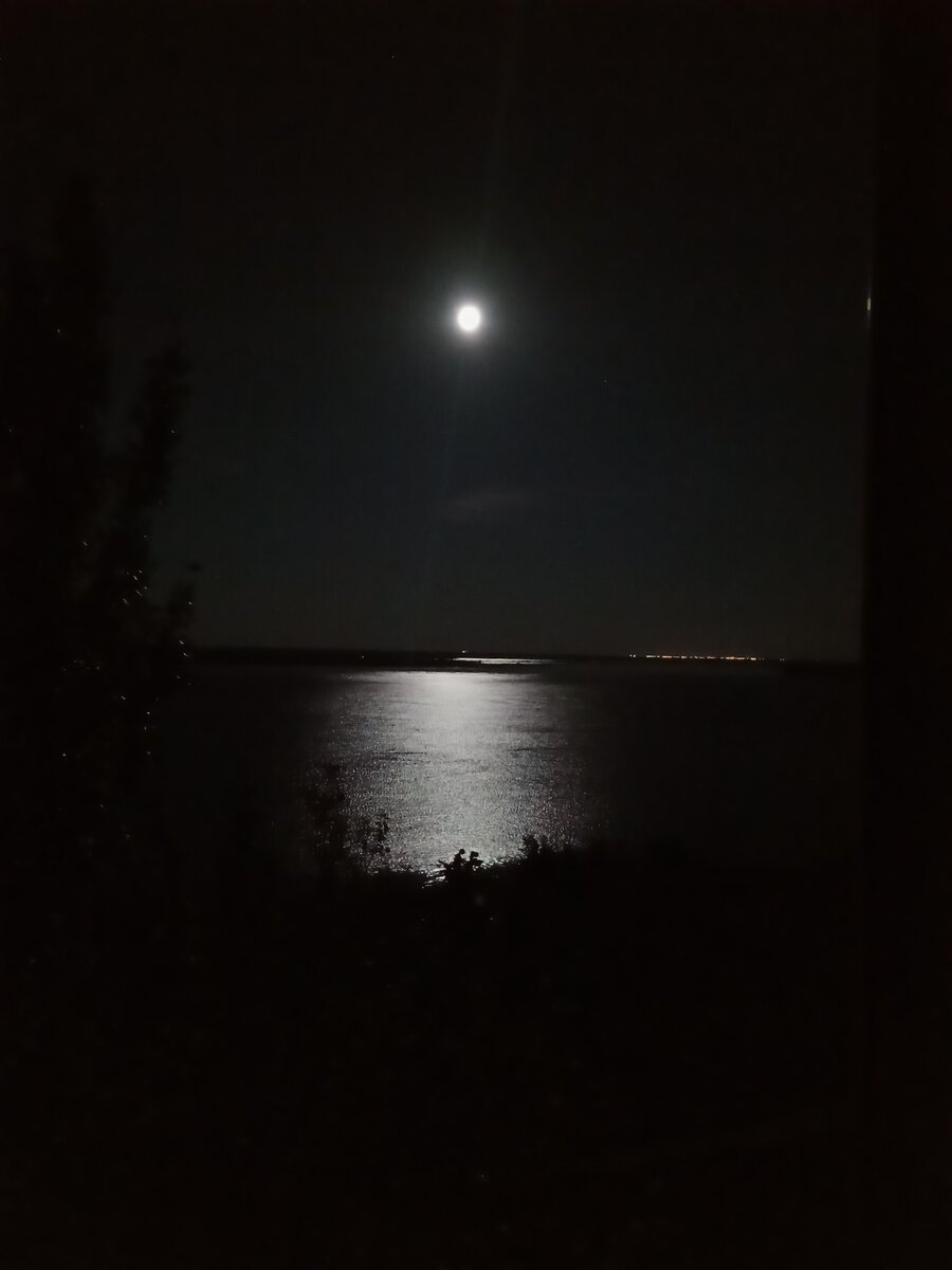 Волго-Ахтубинская пойма