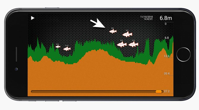 Deeper les. Значки рыбы на эхолоте Deeper. Deeper start. Эхолот Deeper CHIRP+2 отображение на экране. Приложение Fish Deeper.