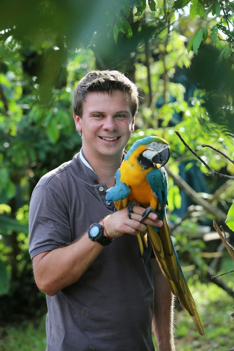 Фото заимствовано из сервиса Яндекс Картинки