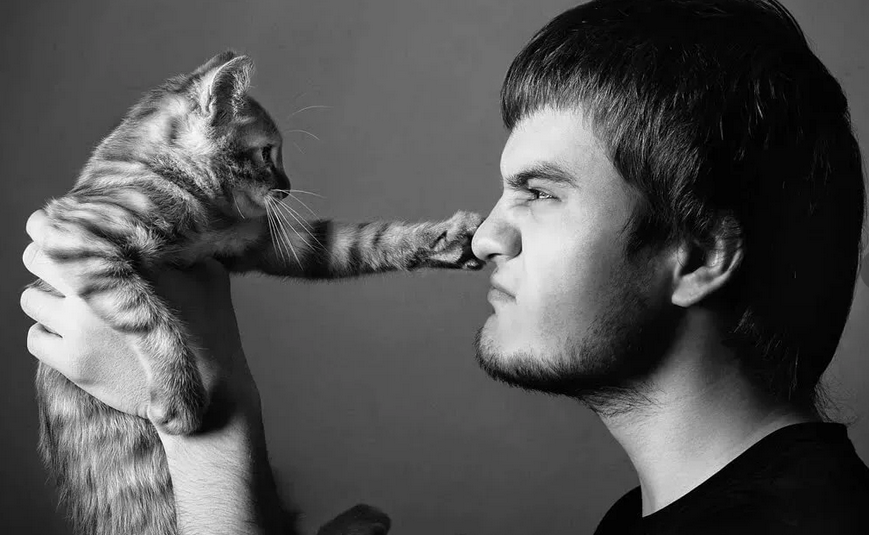 Фото с сервера Яндекс.Картинки