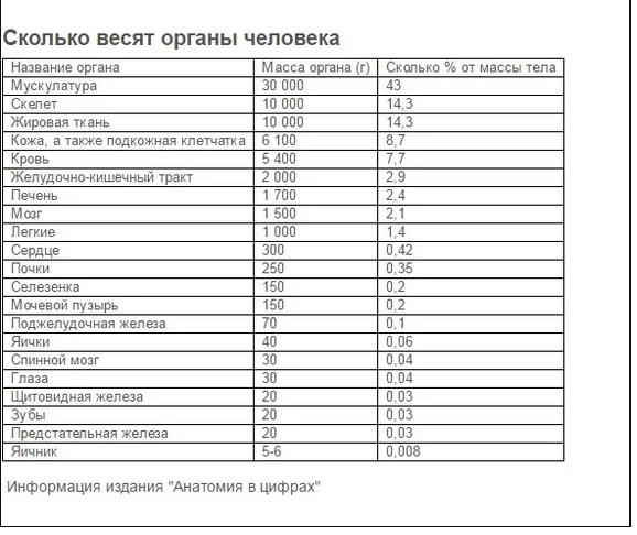 Не спрашивайте почему здесь указаны и яички и яичники, этот нюанс я отредактировал в финальном варианте (Как проводилось такое исследование тоже не будем вдаваться в подробности, в мысли только жуть какая-то приходит, почему не все органы и нет строчки прочее тоже непонятно, однако, так или иначе, остальные органы будут иметь мизерный вес), как я понял, - проводилось исследование мужчины, массой 68,78 кг. 