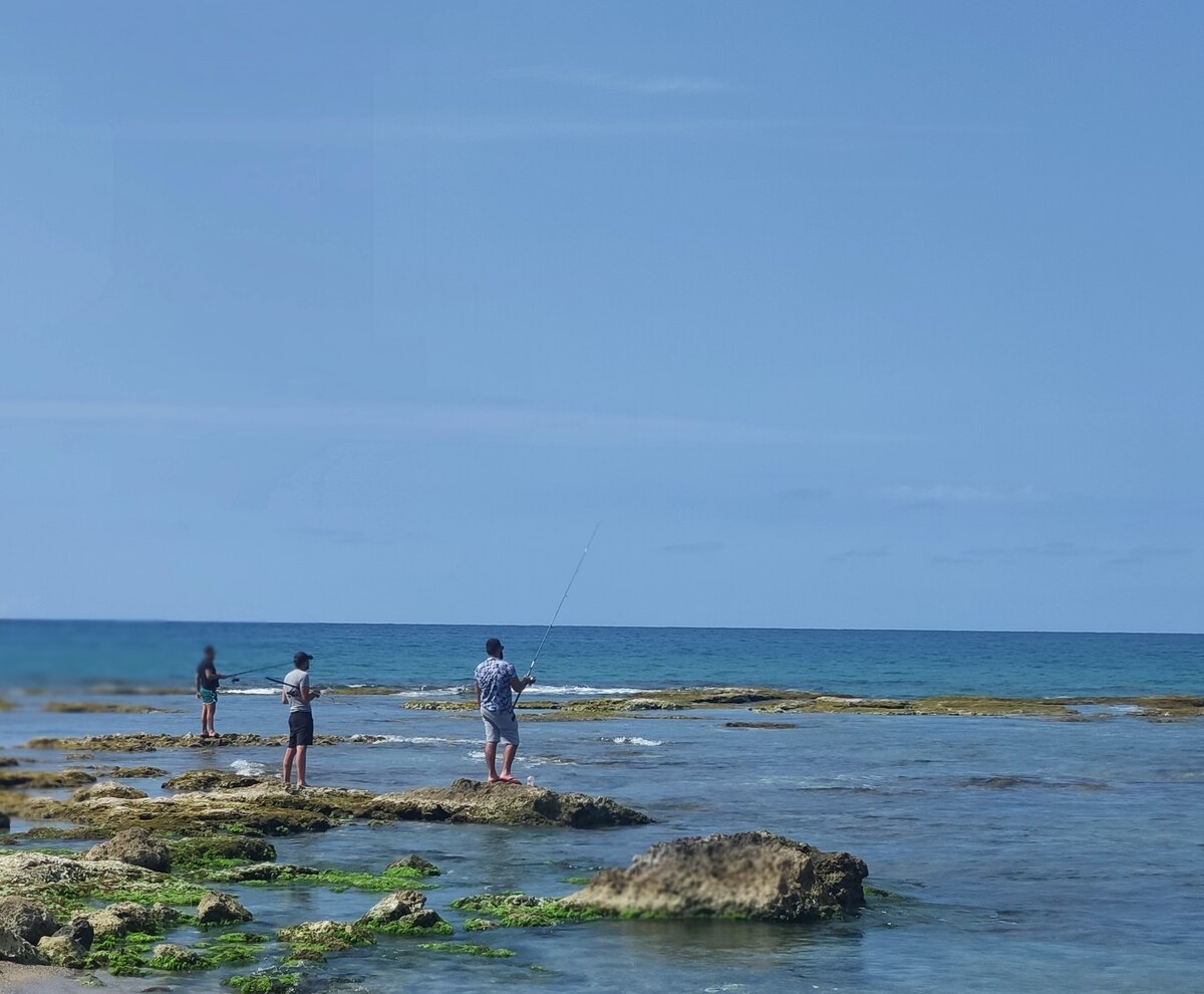 Это пока коронавирус и туристов нет, критяне могут себе позволить порыбачить. А в сезон трудятся без выходных (фото из личного архива автора)