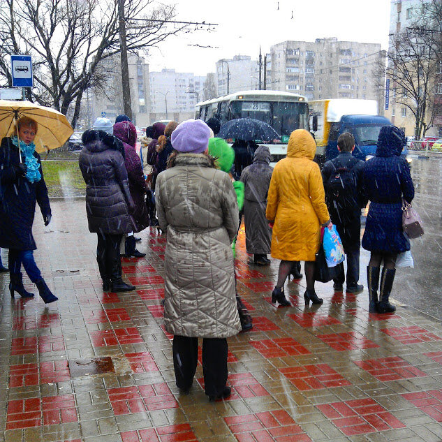 Фото: Свое Мнение