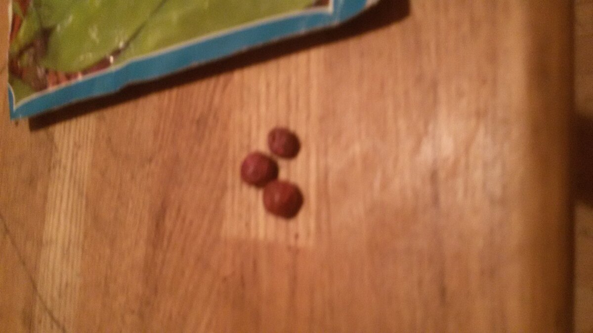 Три горошины  были отобраны на эксперимент:-"Скока гороха на по покойнике может вырасти"