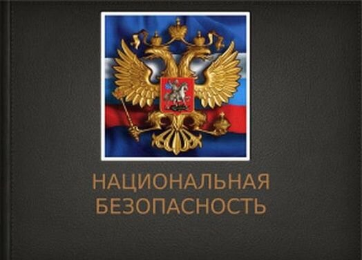 Национальная безопасность россии проект