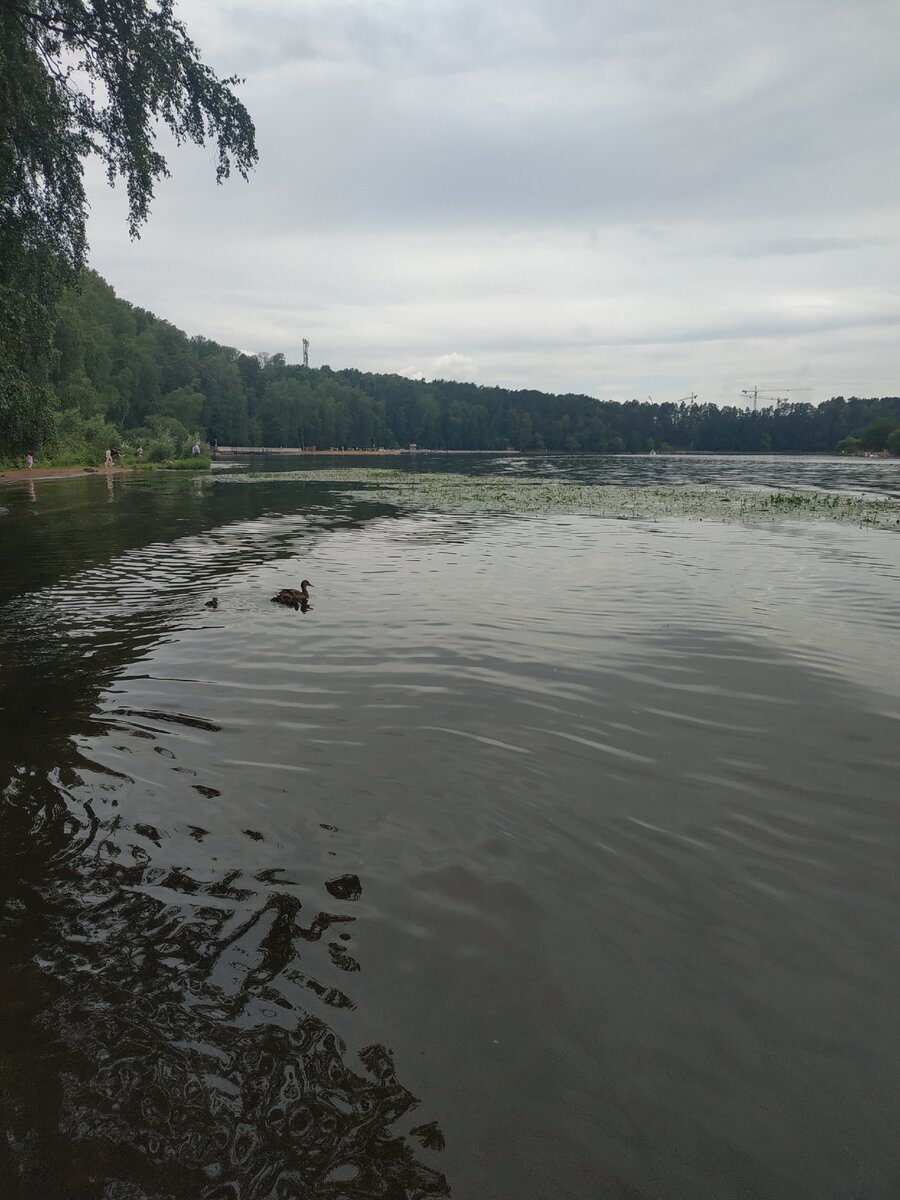 На диком пляже не аншлаг, спасибо дождику и пасмурной погоде