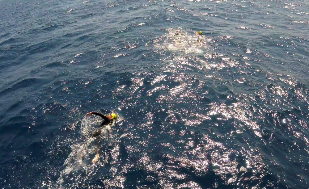 человек плывет. переплыл море. переплыть море. переплыть море. кто переплыл средиземное море.