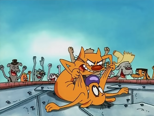 Кот выбивает всю дурь из пса)