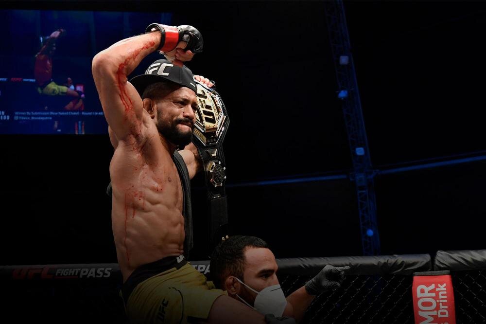 Итоги юфс. Бойцовский остров UFC