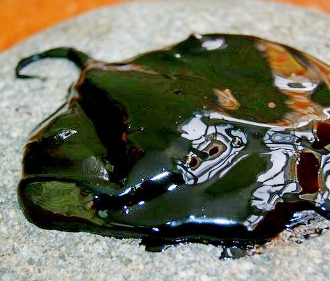 Примерно так выглядит настоящее мумие