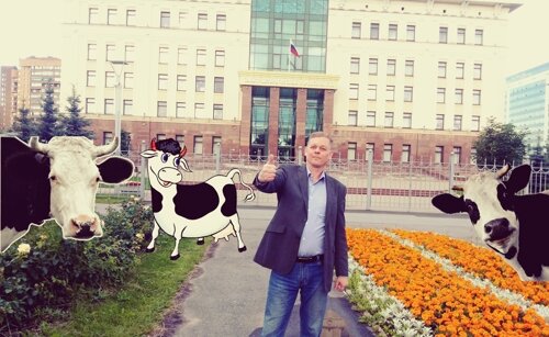 Коллаж на тему статьи.