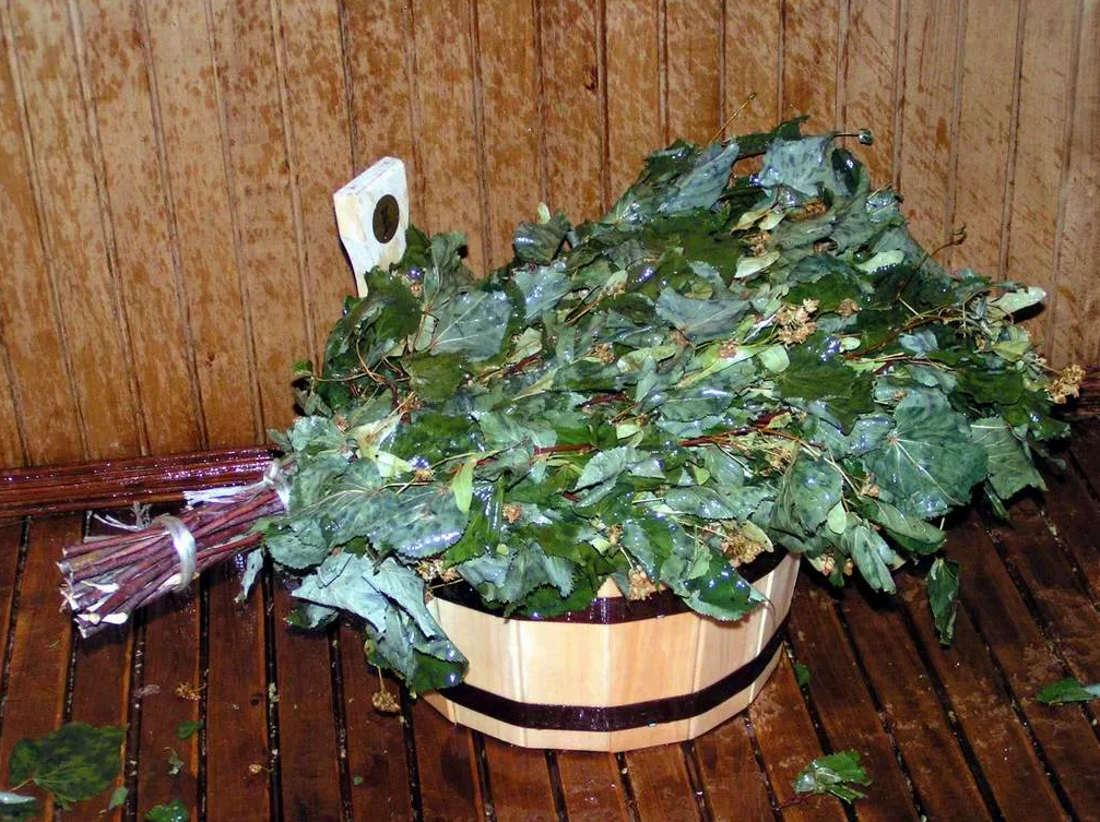 Как правильно запарить липовый веник для бани?