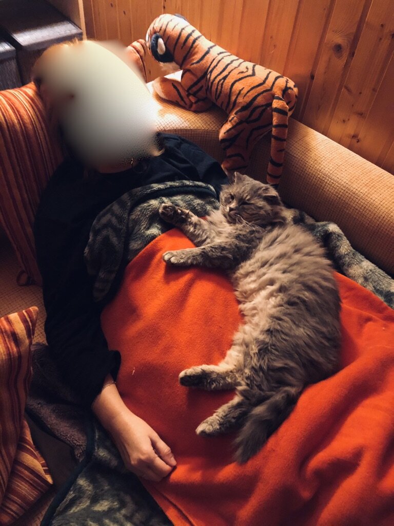 Как хорошо валяться на хозяйке - тепло и мягко.