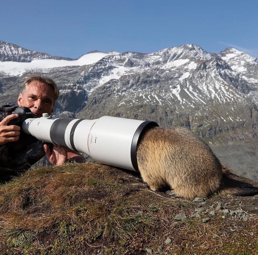 Фотограф прикол