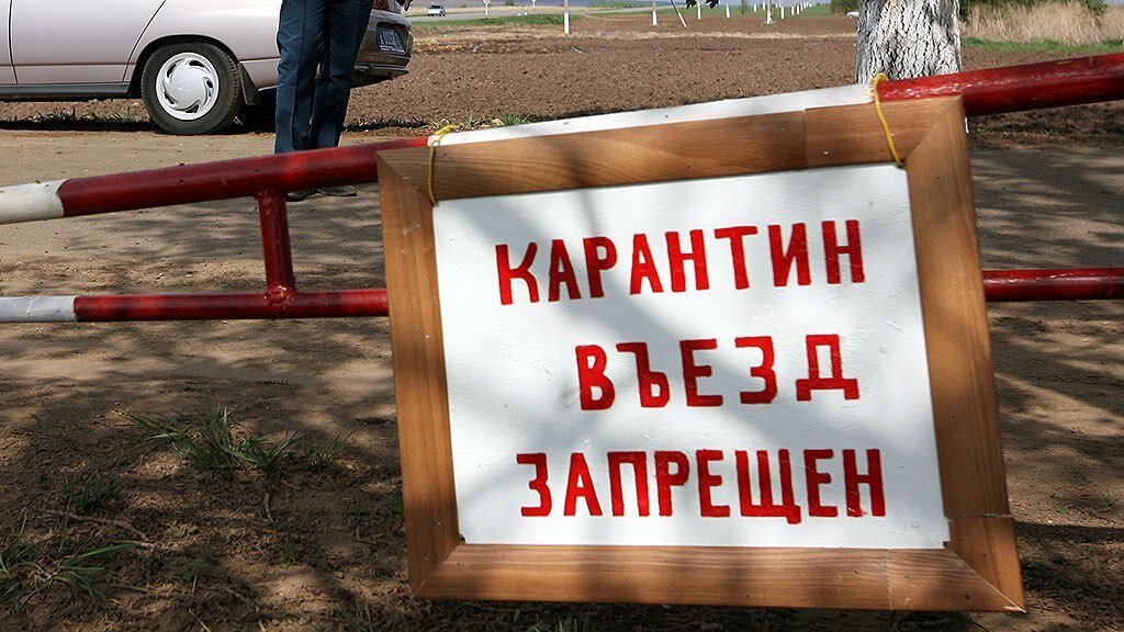 фото с сайта Яндекс-картинки