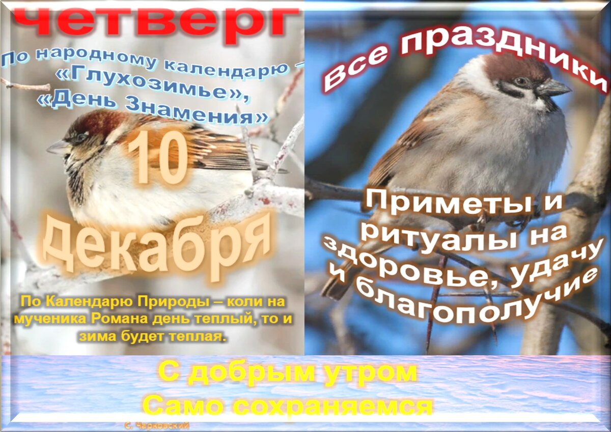 Какие праздники 10 декабря