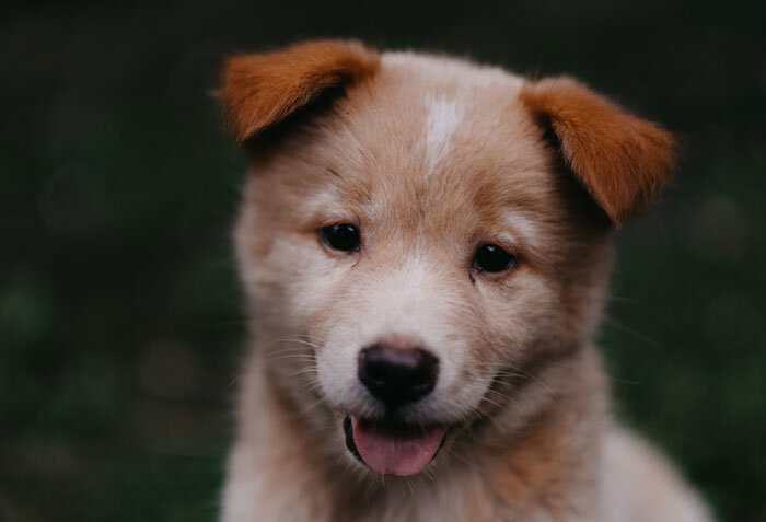 Источник: Unsplash