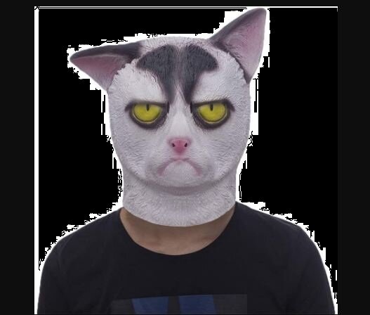 Фото из вьетнамского Интернета