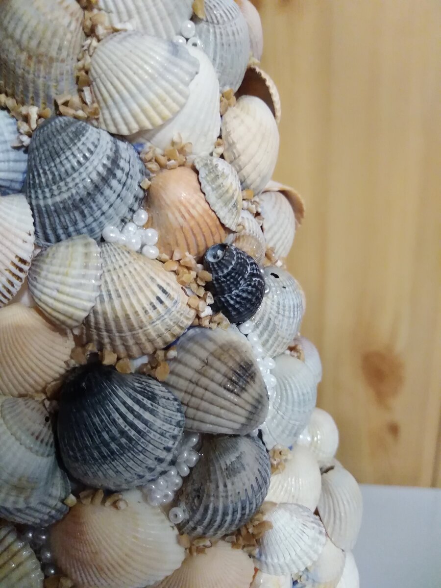 Поделки из ракушек