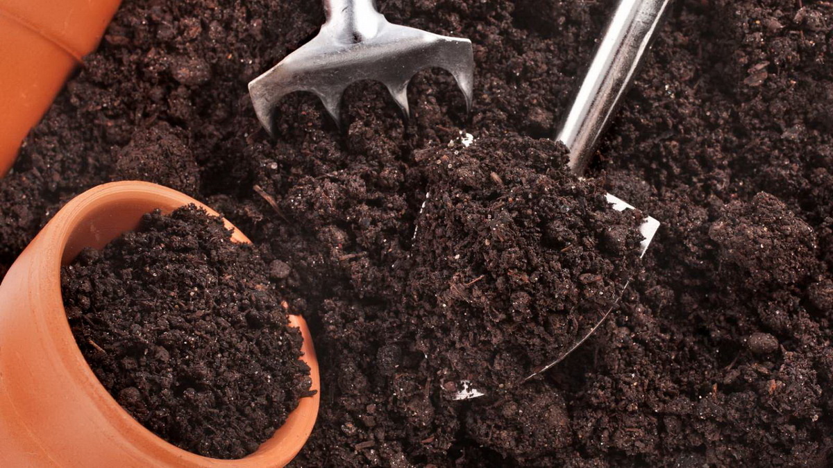 Пора готовить грунт