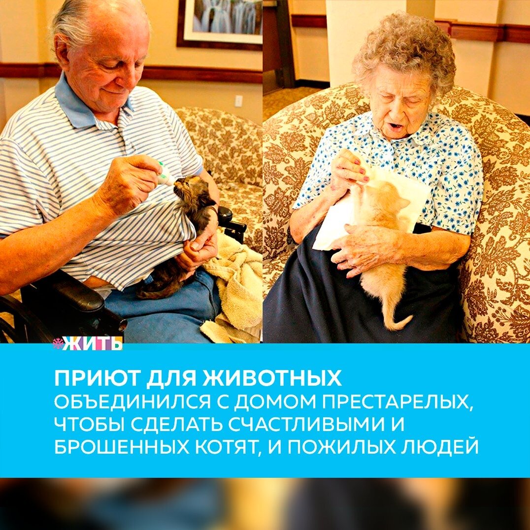 В настоящее время все большую популярность набирает идея объединения приютов для животных с домами престарелых👴

Такая мера используется в качестве психотерапевтической методики, которая качественно влияет на состояние пожилых людей, позволяет поддержать двигательные функции и моторику, а также усиливает эффективность развития личности при коррекции, реабилитации и социальной адаптации пожилых. Общение с животными помогает пожилым людям в момент кризисного состояния, снижает чувство одиночества и улучшает процесс социализации❤️

Забота о пожилых - является неотъемлемой частью жизни членов нашего общества, где каждый старается внести свой вклад🙏🏻

Так, например, в период с 2021 по 2023 год в нашей стране предусмотрена индексация пенсий неработающих пенсионеров выше инфляции. Пенсии будут проиндексированы следующим образом: в 2021 году — на 6,3%, что в 1,7 раза выше уровня инфляции за 2020 год, в 2022 году — на 5,9%, в 2023 году — на 5,6%. Так, размер пенсии в 2021 году составит 17 432 рублей, в 2022 году — 18 357 рублей, в 2023 году — 19 283 рублей💰

Была ли полезна информация? Если да, ставь + в комментариях👇🏻

#жить #проектжить