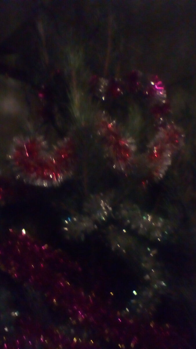 Кусочек нашей ёлки, пока ещё без игрушек